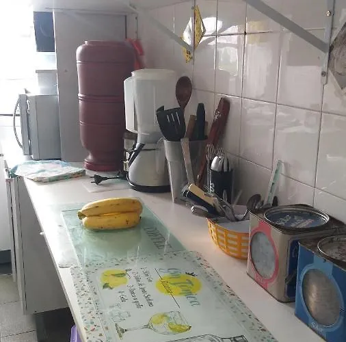 Individual Compartilha Somente A Cozinha Com O Morador E Sua Cachorra Chori *