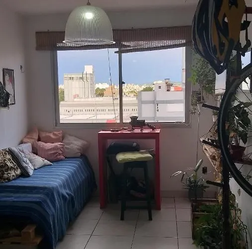 Individual Compartilha Somente A Cozinha Com O Morador E Sua Cachorra Chori * Porto Alegre