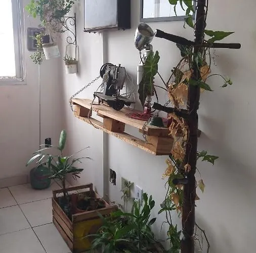 Individual Compartilha Somente A Cozinha Com O Morador E Sua Cachorra Chori Habitación en casa particular *