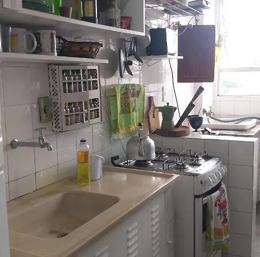 Individual Compartilha Somente A Cozinha Com O Morador E Sua Cachorra Chori *